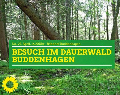 Besuch im Dauerwald Buddenhagen