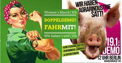 Doppeldemofahrt: Women´s march / Wir haben´s satt!
