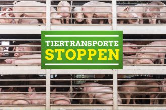 Forderung Tiertransporte stoppen